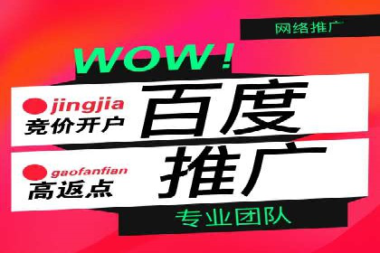 百度推广代理商的客户案例：从零到一的突破